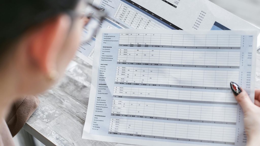 DDES Annual Audit