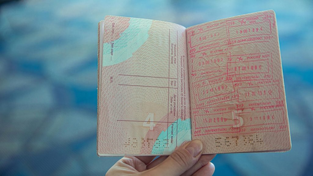 DDES Visa Services